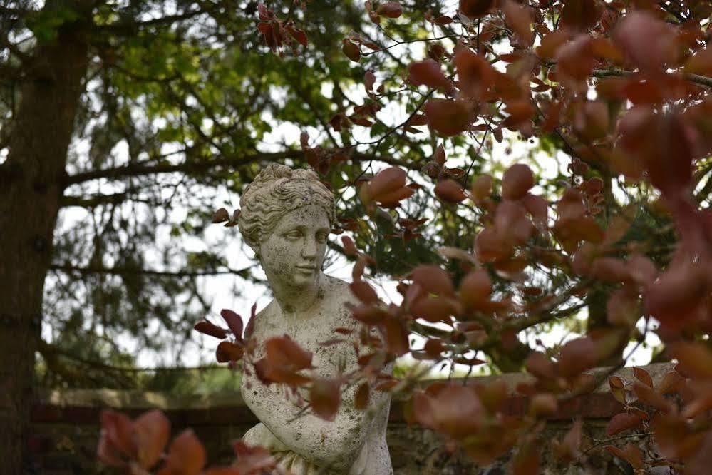 Old Selden Farm B&B Clapham (West Sussex) Exterior foto