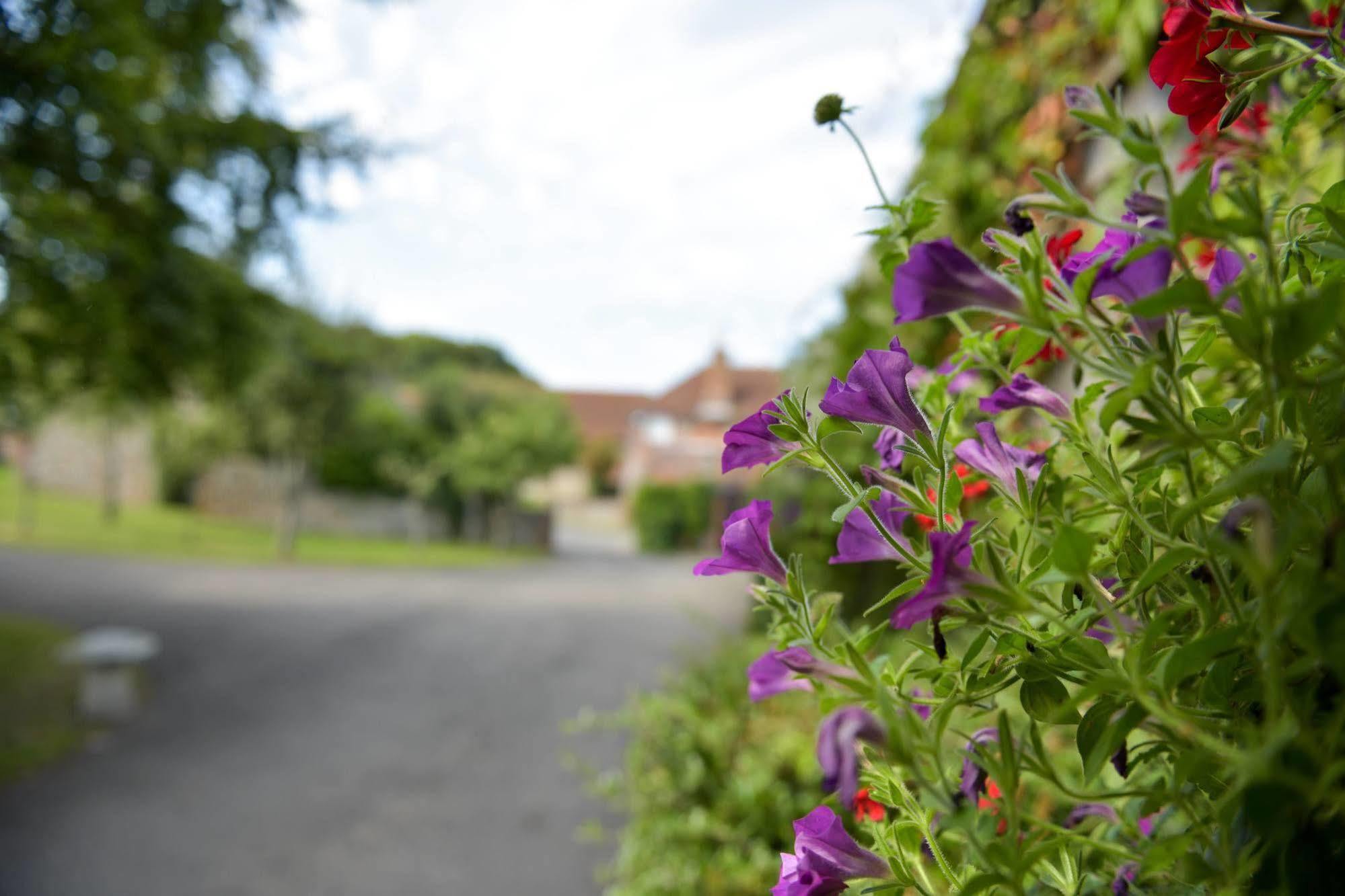 Old Selden Farm B&B Clapham (West Sussex) Exterior foto