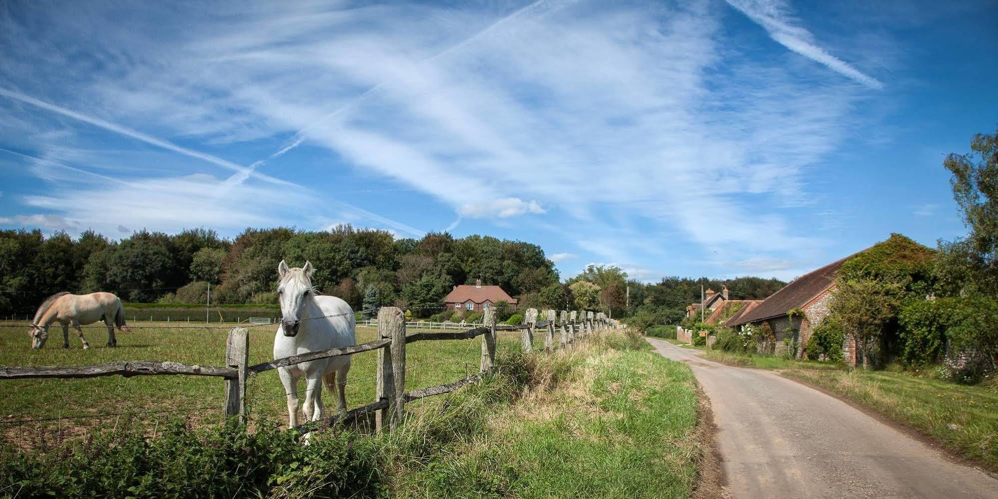 Old Selden Farm B&B Clapham (West Sussex) Exterior foto