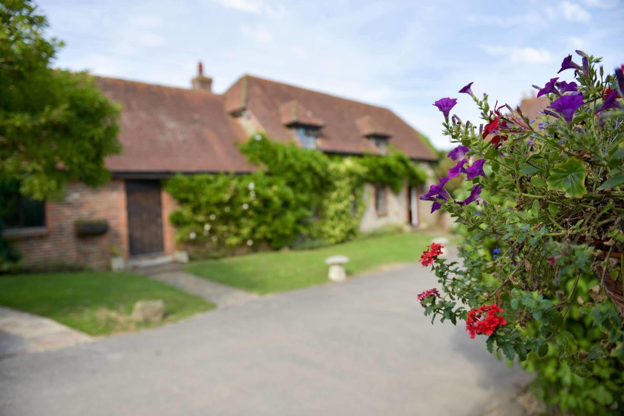 Old Selden Farm B&B Clapham (West Sussex) Exterior foto