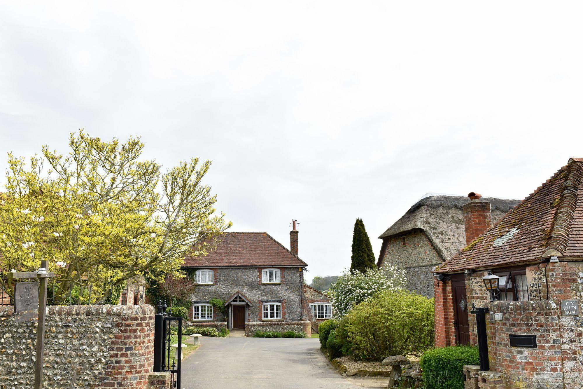 Old Selden Farm B&B Clapham (West Sussex) Exterior foto